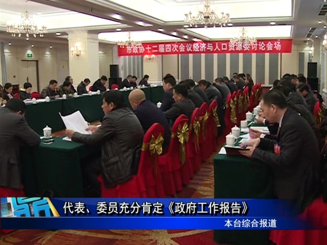 代表、委员充分肯定《政府工作报告》