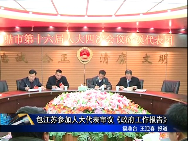 包江苏参加人大代表审议《政府工作报告》