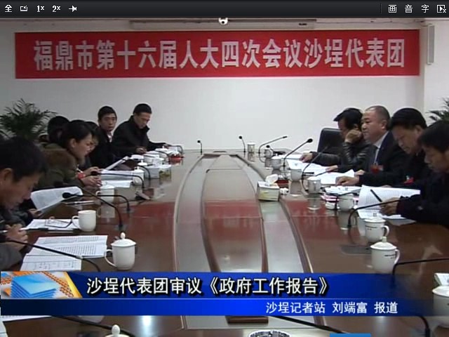 沙埕代表团审议《政府工作报告》