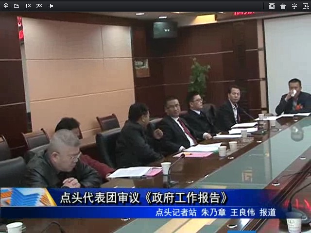 点头代表团审议《政府工作报告》