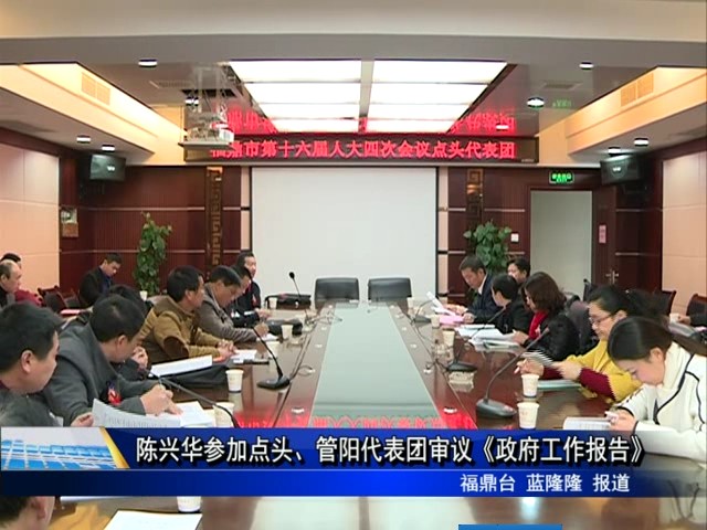 陈兴华参加点头、管阳代表团审议《政府工作报告》