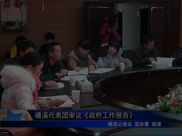 磻溪代表团审议《政府工作报告》