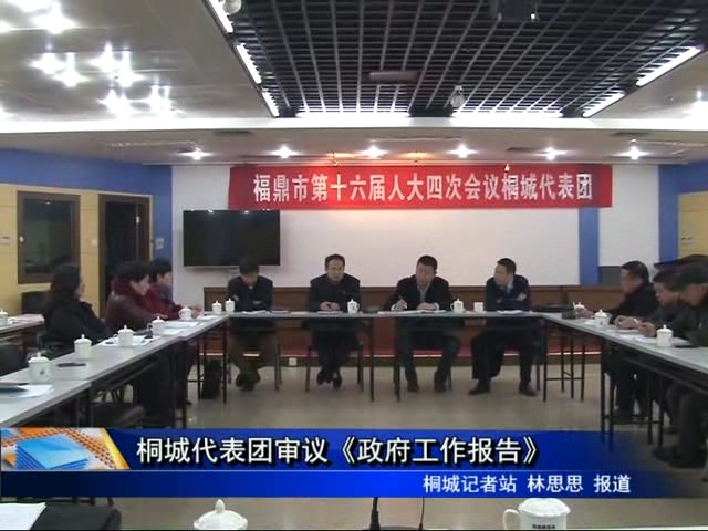 桐城代表团审议《政府工作报告》
