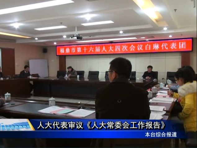 人大代表审议《人大常委会工作报告》
