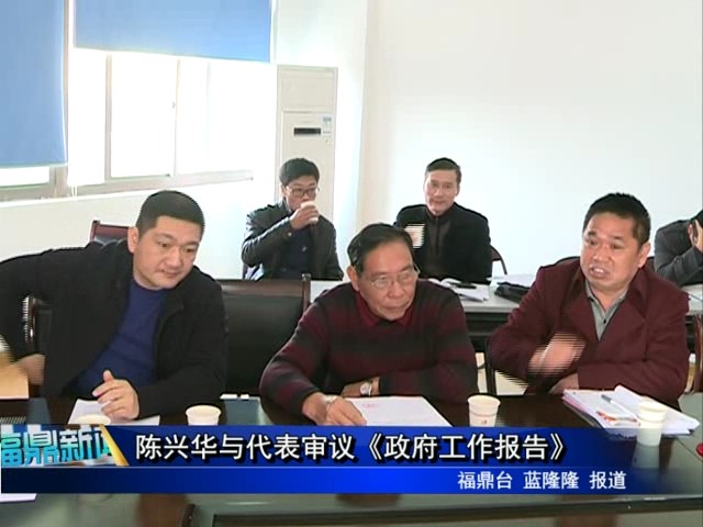 陈兴华与代表审议《政府工作报告》