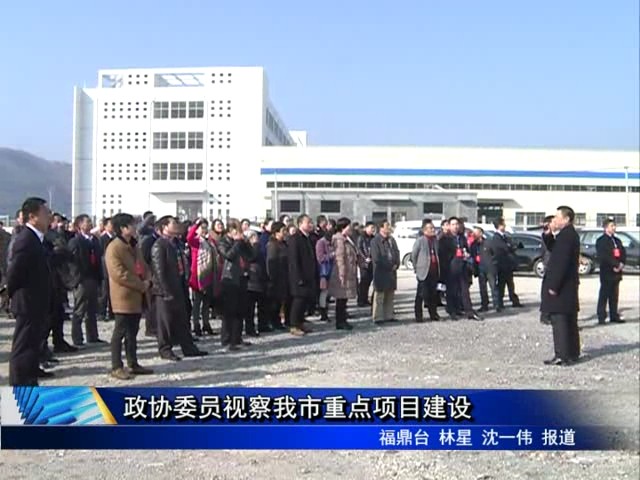 政协委员视察我市重点项目建设