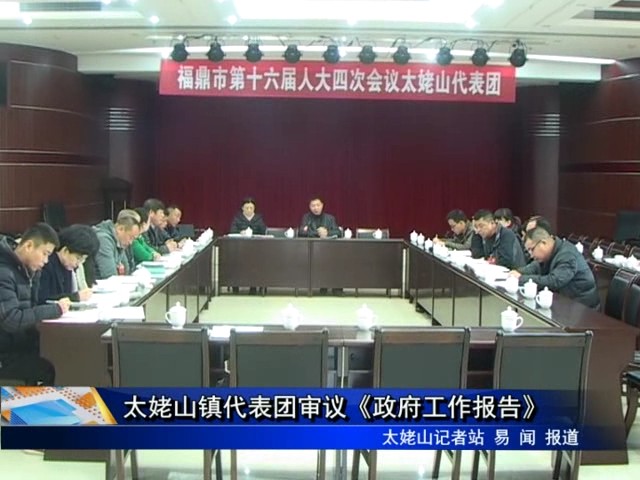 太姥山代表团审议《政府工作报告》