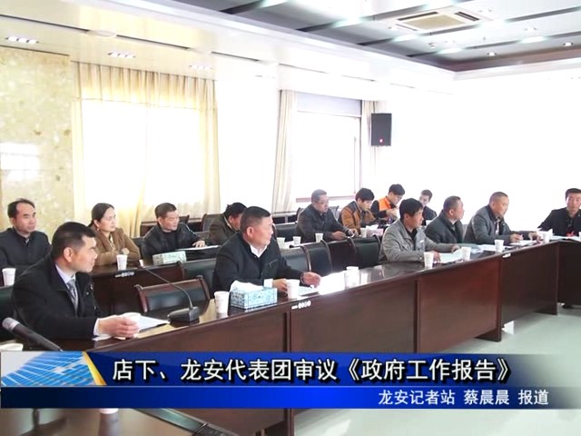 龙安、店下代表团审议《政府工作报告》