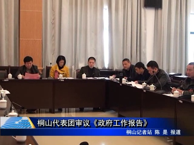 桐山代表团审议《政府工作报告》