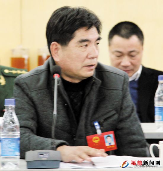人大代表林振翔发言.jpg