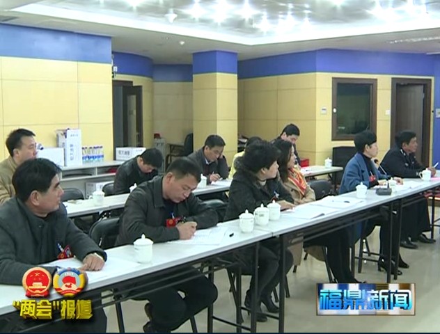 刘振辉参加太姥山、桐城、叠石、贯岭、沙埕代表团审议《政府工作报告》