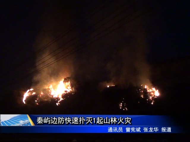 秦屿边防快速扑灭1起山林火灾