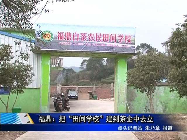 福鼎：把“田间学校”建到茶企中去