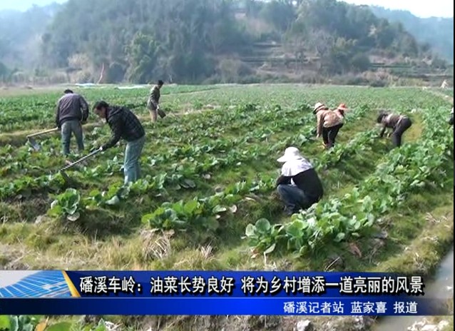 福鼎：普高联动帮扶　促进教育均衡