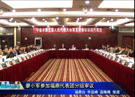 廖小军参加福鼎代表团分组审议
