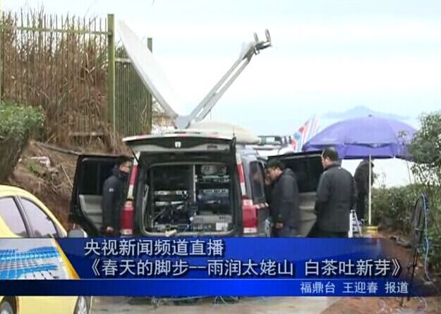 央视新闻频道直播《春天的脚步—雨润太姥山 白茶吐新芽》