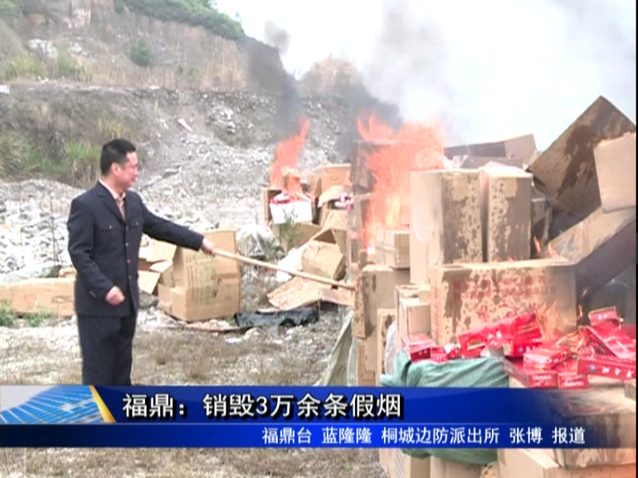福鼎：销毁3万余条假烟