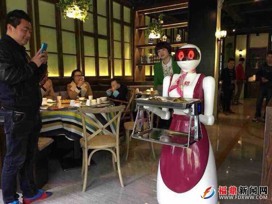 福鼎现首家有机器人服务员的餐厅