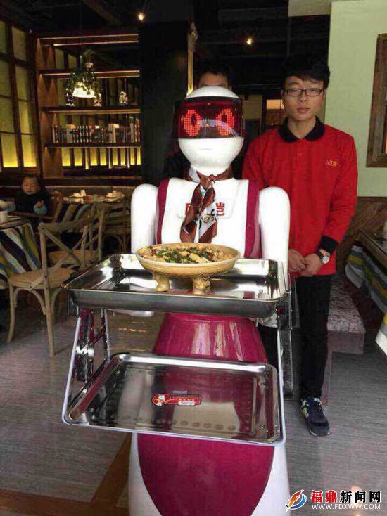 福鼎现首家有机器人服务员的餐厅