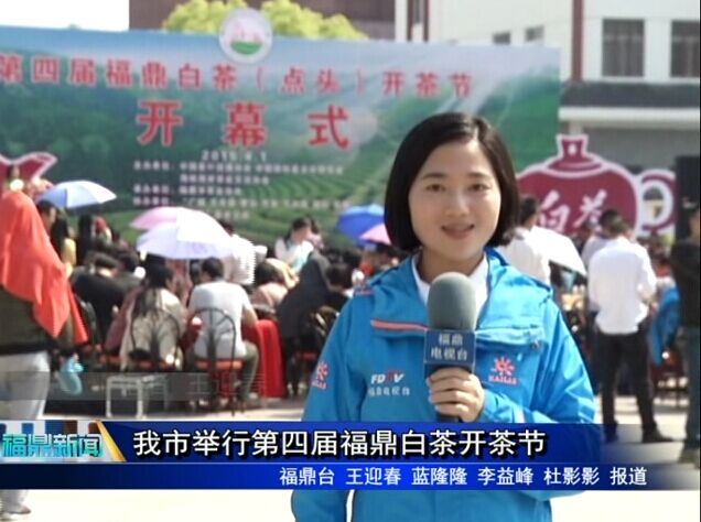 我市举行第四届福鼎白茶开茶节