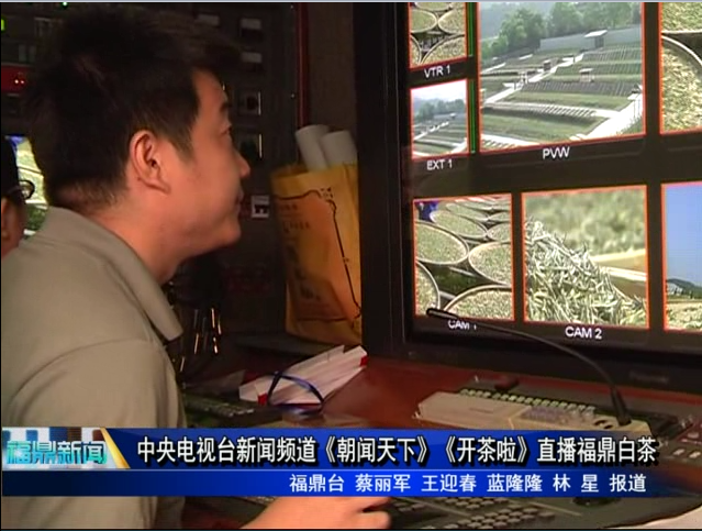 中央电视台新闻频道《朝闻天下》《开茶啦》直播福鼎白茶