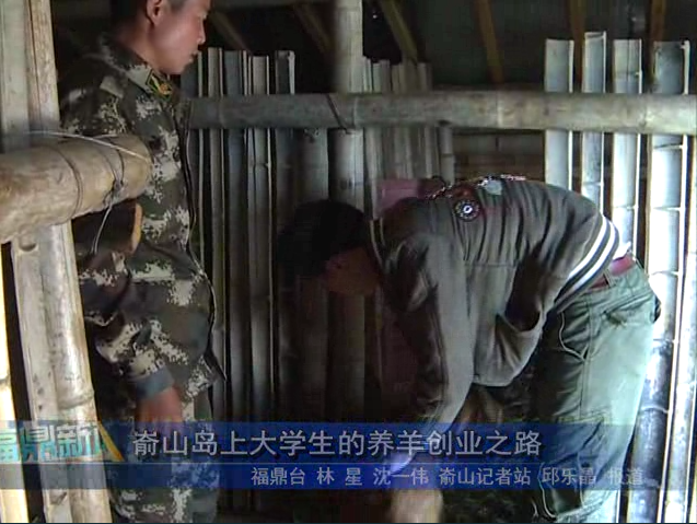 嵛山岛大学生的养羊创业之路