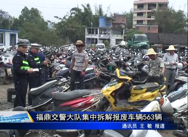 福鼎交警大队集中拆解报废车辆563辆