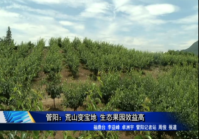 管阳：荒山变宝地 生态果园效益高
