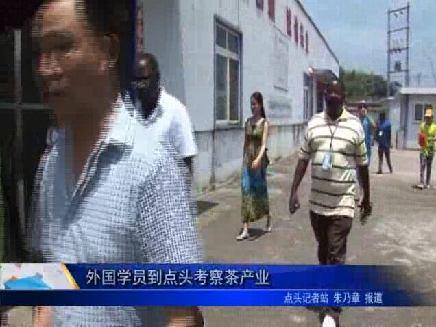 外国学员到点头考察茶产业