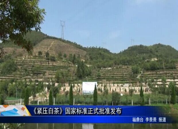 《紧压白茶》国家标准正式批准发布