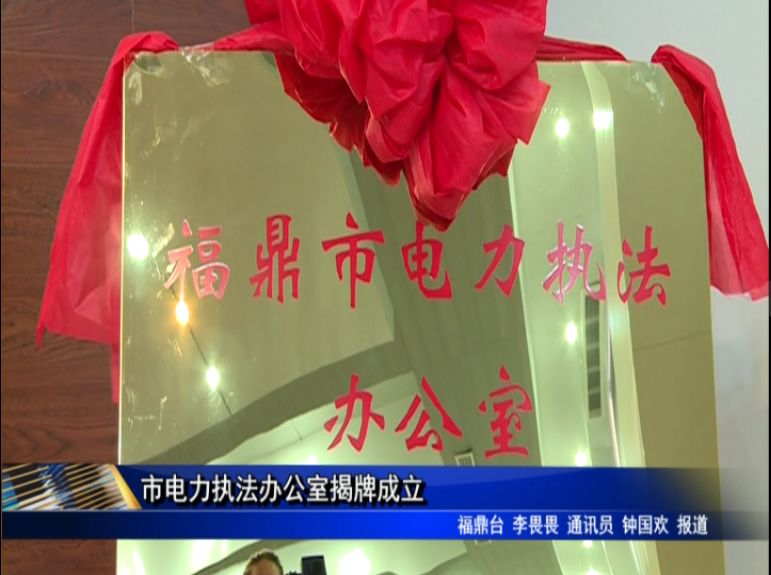 市电力执法办公室揭牌成立