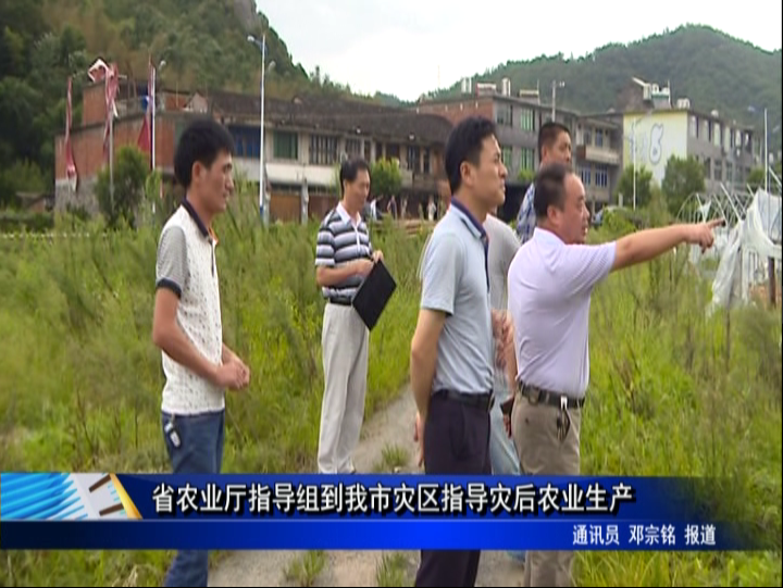 省农业厅指导组到我市灾区指导灾后农业生产