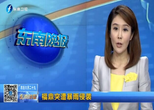 [东南卫视]视频: 福鼎突遭暴雨侵袭