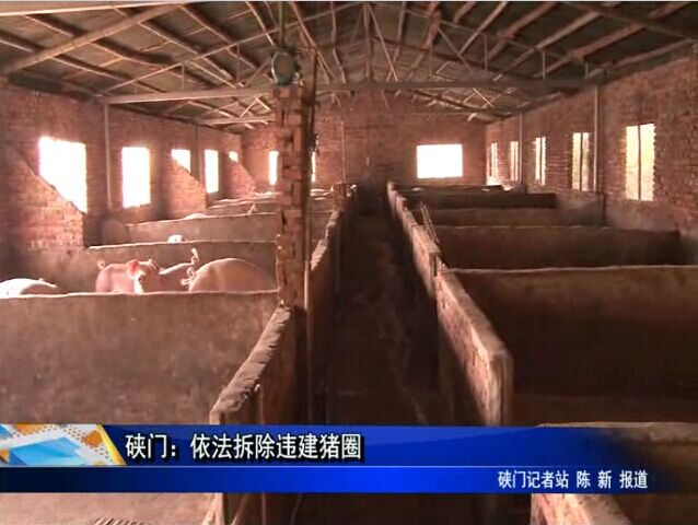 硖门：依法拆除违建猪圈