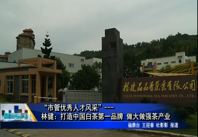 “市管优秀人才风采”---林健：打造中国白茶第一品牌 做大做强茶产业