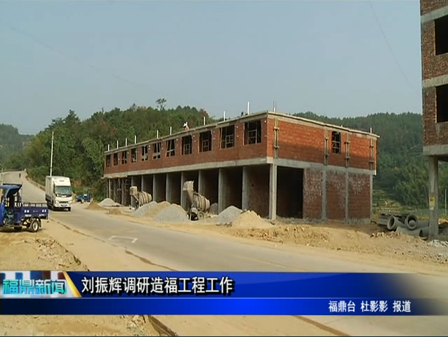 刘振辉调研造福工程工作