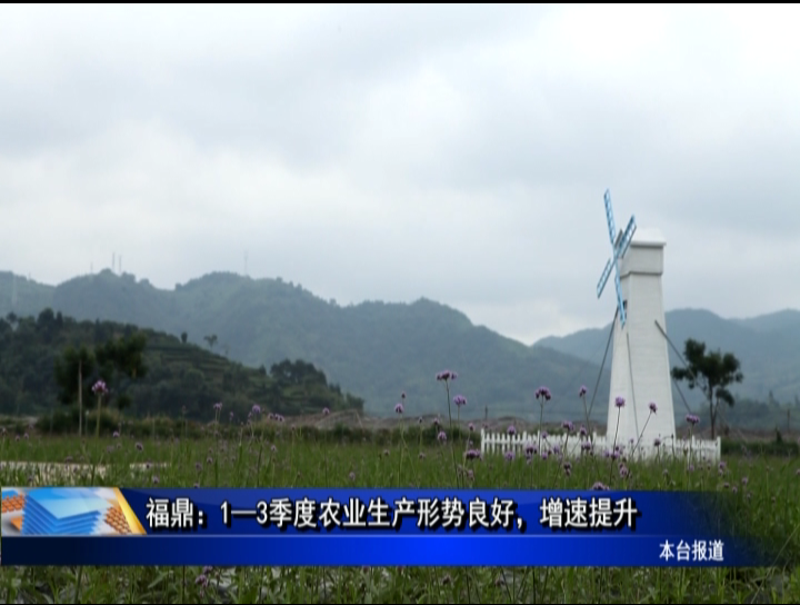 福鼎：1—3季度农业生产形势良好，增速提升