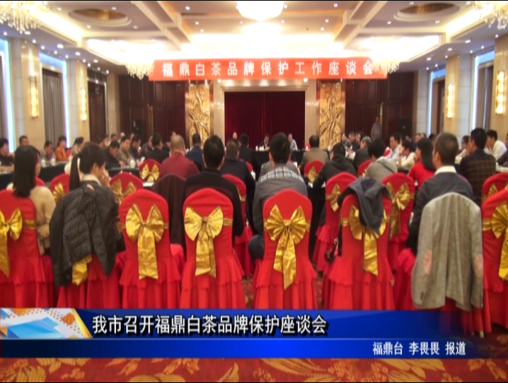 我市召开福鼎白茶品牌保护座谈会