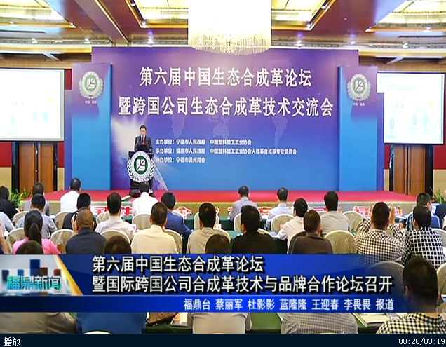 第六届中国生态合成革论坛暨国际跨国公司合成革技术与品牌合作论坛召开