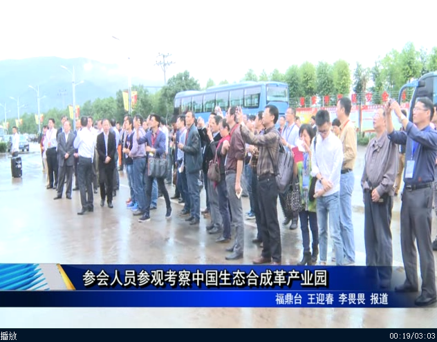 参会人员参观考察中国生态合成革产业园
