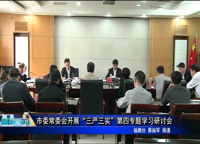 市委常委会开展“三严三实”第四专题学习研讨会