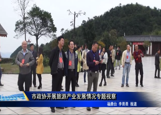 市政协开展旅游产业发展情况专题视察