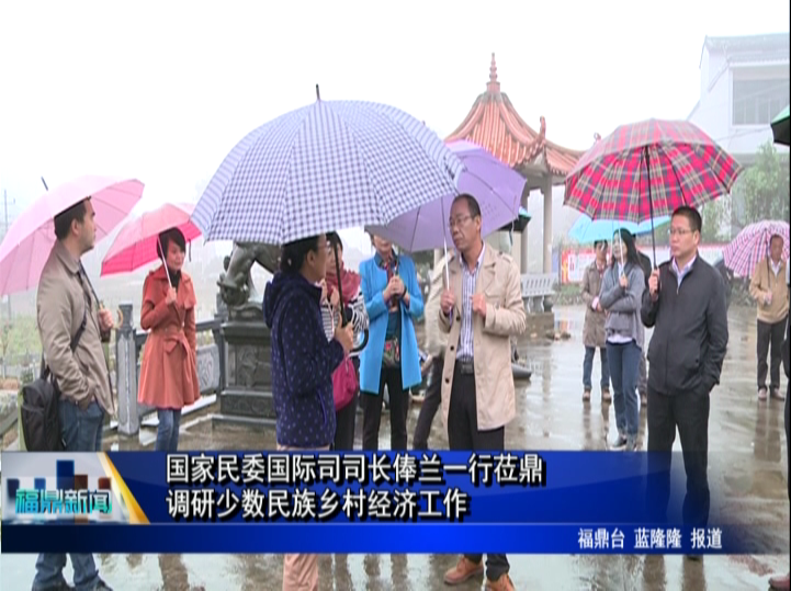 国家民委国际司司长俸兰一行莅鼎调研少数民族乡村经济工作