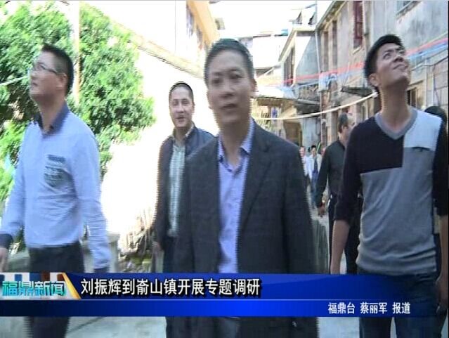 刘振辉到嵛山镇开展专题调研