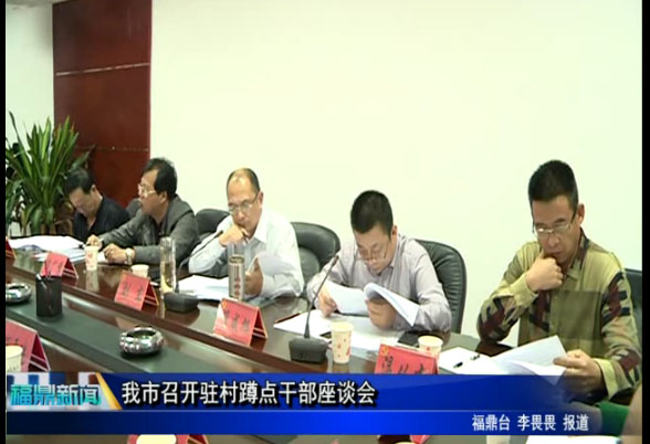 我市召开驻村蹲点干部座谈会