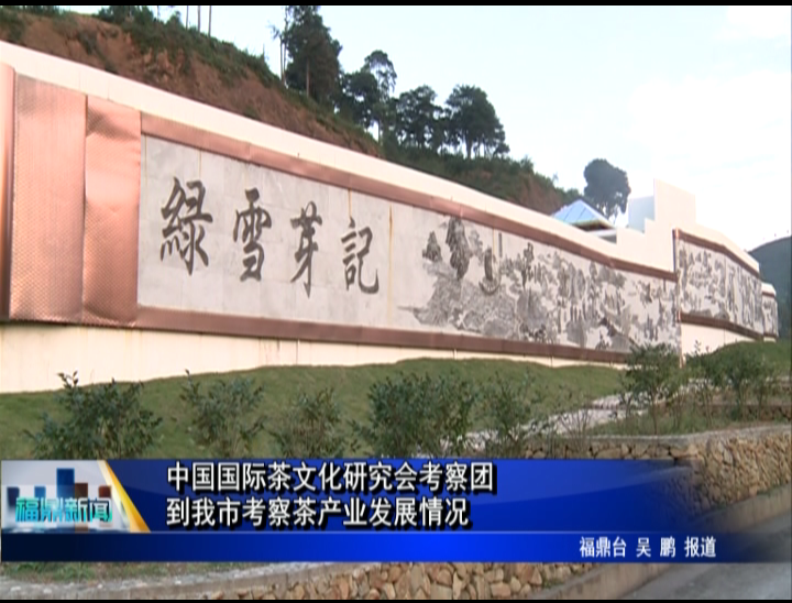 中国国际茶文化研究会考察团到我市考察茶产业发展情况