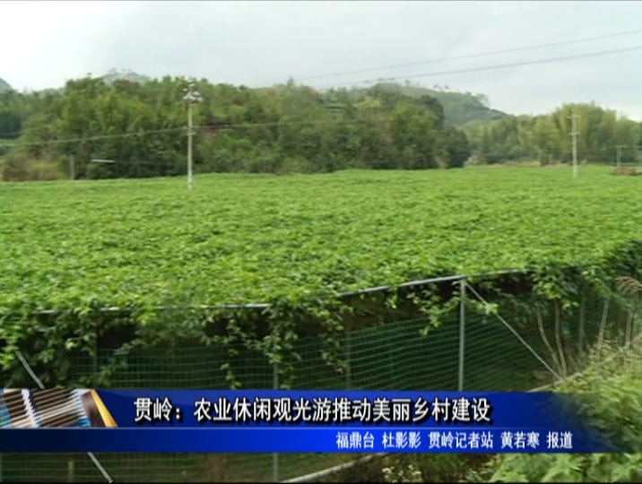 贯岭：农业休闲观光游推动美丽乡村建设