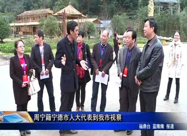 周宁籍宁德市人大代表到我市视察