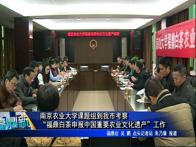 南京农业大学课题组到我市考察“福鼎白茶申报中国重要农业文化遗产”工作