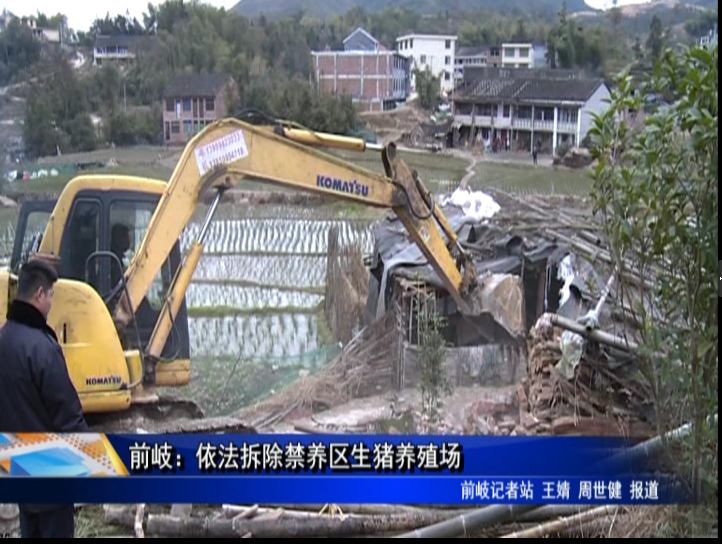 前岐：依法拆除禁养区生猪养殖场